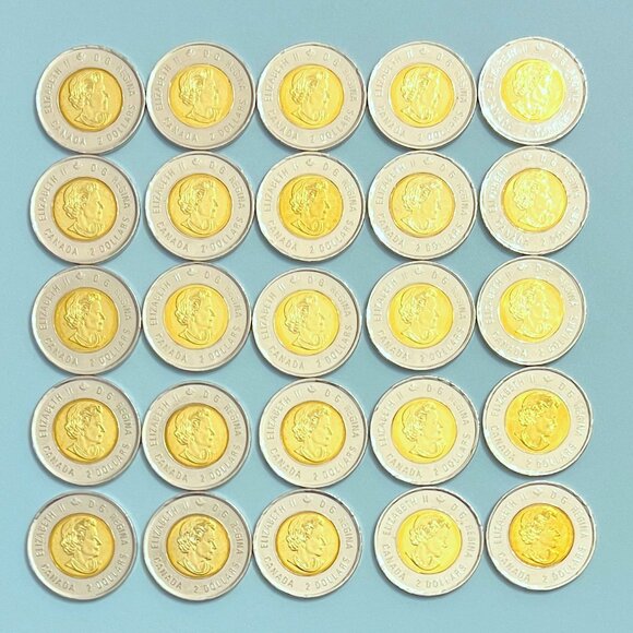 Canada 2018 '100th Anniversary Armistice 1918-2018' Roll of 25 x $2 Toonies! - Picture 3 of 16